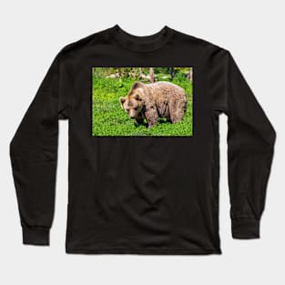 Cute Grizzly Bear Long Sleeve T-Shirt